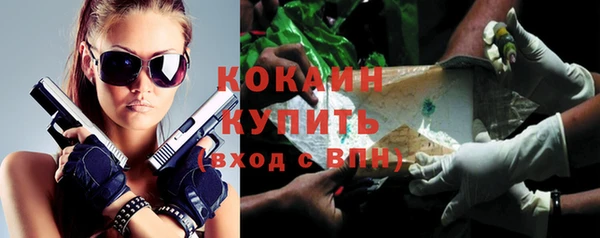 молекула духа Костерёво