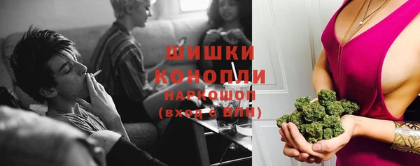 молекула духа Костерёво