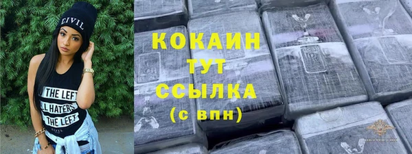 молекула духа Костерёво
