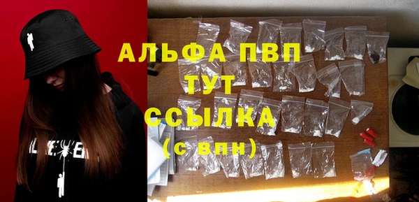 молекула духа Костерёво