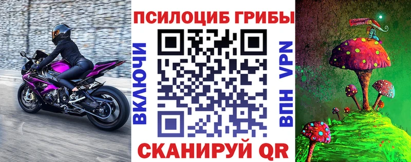 Купить закладки  Сковородино  Псилоцибиновые грибы GOLDEN TEACHER 