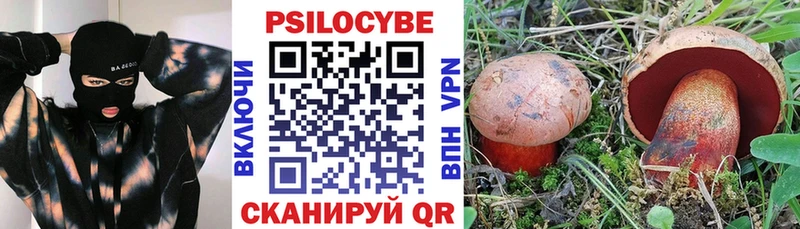 Галлюциногенные грибы MAGIC MUSHROOMS Сковородино